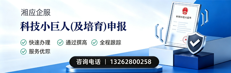 信阳科技小巨人及培育企业申报服务