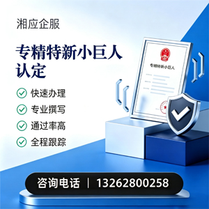 信阳专精特新小巨人申报服务