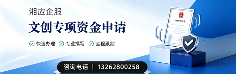 信阳文创专项资金申报服务