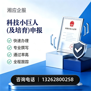 信阳科技小巨人及培育企业申报服务