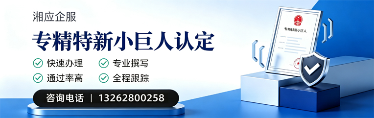 信阳专精特新小巨人申报服务